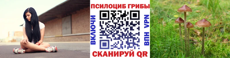 OMG ТОР  Североморск  Псилоцибиновые грибы GOLDEN TEACHER 